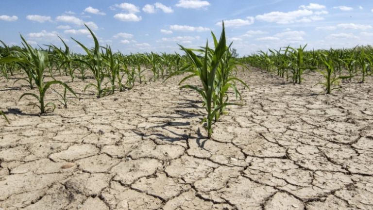 Fonduri alocate de UE pentru țara noastră, pentru acoperirea pagubelor secetei