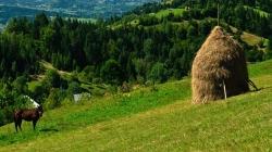 25 septembrie, Ziua Satului Românesc; PS Iustin: „Trăim drama depopulării satelor!”