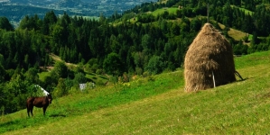 25 septembrie, Ziua Satului Românesc; PS Iustin: „Trăim drama depopulării satelor!”