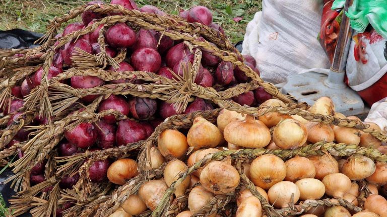 Mulți legumicultori din Pericei, sosiți la Asuaj