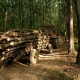 Infracțiune rutieră dar și material lemnos confiscat în Maramureș