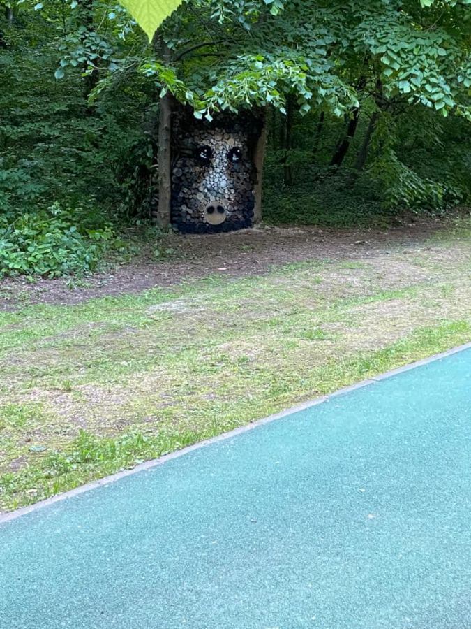 Lucrare inedită: Un mistreț simpatic e prezent în Parcul „Regina Maria” din Baia Mare; Cine e autorul operei de artă