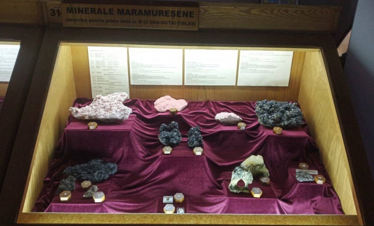 Noi exponate: Vitrina cu minerale maramureșene a fost reamenajată la Muzeul de Mineralogie din Baia Mare