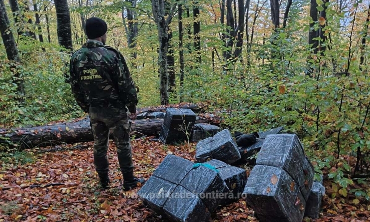 Captură făcută de polițiștii de frontieră maramureșeni