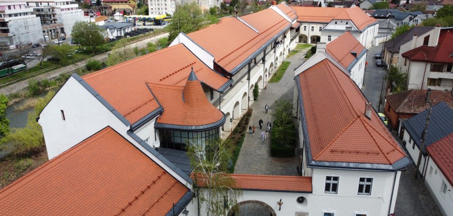 „Oamenii care au făcut România Mare”: Proiecție de filme documentare la Muzeul de Istorie din Baia Mare