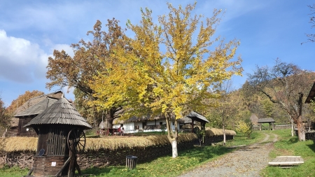 Vremea exactă în Maramureș, miercuri, 1 noiembrie