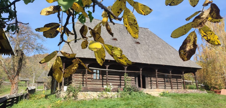 Vremea exactă în Maramureș, vineri, 3 noiembrie