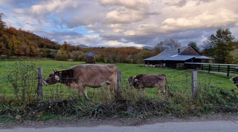 Vremea exactă în Maramureș, marți, 31 octombrie