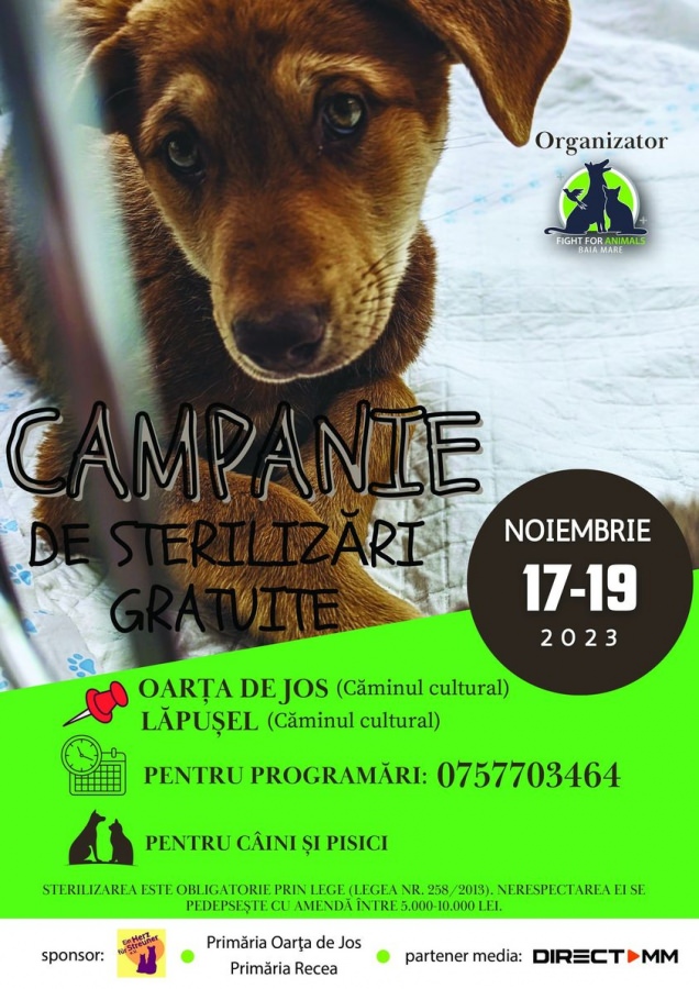 Campanie de sterilizări gratuite în Oarța de Jos și Lăpușel