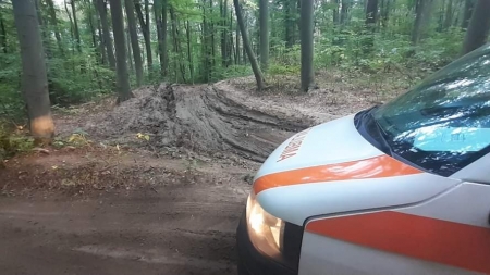 Maramureșean decedat după ce un arbore a căzut peste el