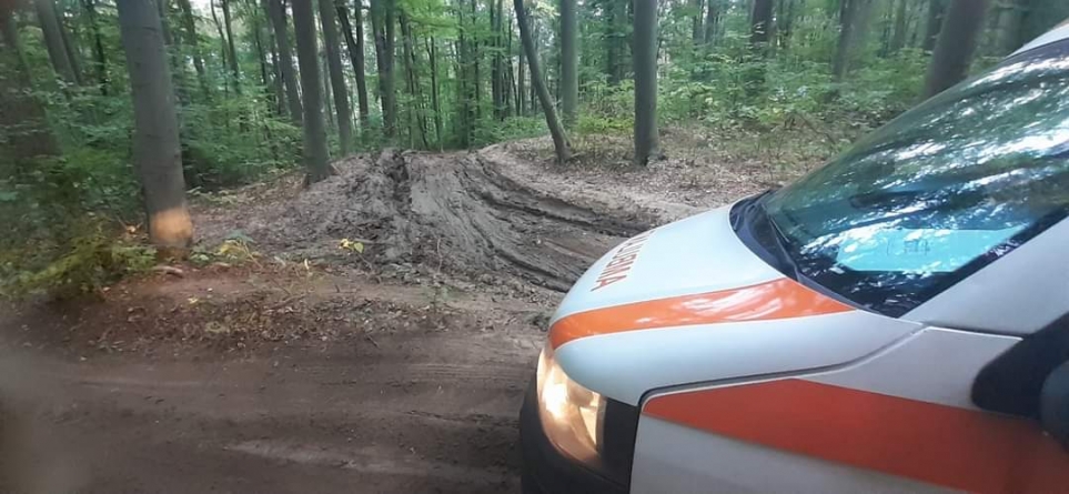 Maramureșean decedat după ce un arbore a căzut peste el