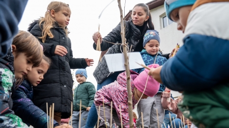 Acțiune deosebită de plantare arbori la Grădinița cu Program Prelungit nr. 2 Baia Sprie
