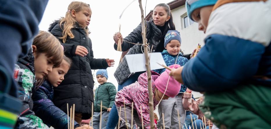 Acțiune deosebită de plantare arbori la Grădinița cu Program Prelungit nr. 2 Baia Sprie