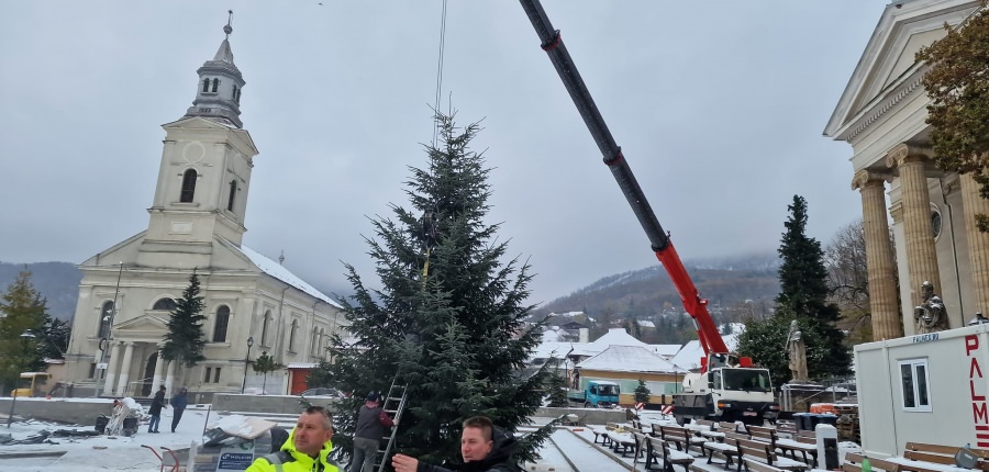 În Baia Sprie: Vor fi brazi împodobiți în centrul vechi și în centrul civic