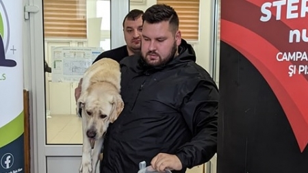Statistica realizată de Asociația Fight For Animals Baia Mare, acțiunea 9: 150 prieteni blănoși vor avea de acum, o viață mai frumoasă și liniștită