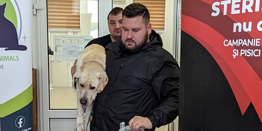 Statistica realizată de Asociația Fight For Animals Baia Mare, acțiunea 9: 150 prieteni blănoși vor avea de acum, o viață mai frumoasă și liniștită