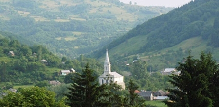 Sinuciderile în perioada primului Război Mondial. Dezechilibrele sociale cauzate de război, studiate de istorici