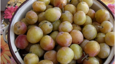 Albăuțele de la Băiuț – parfumul discret al fructelor de la munte