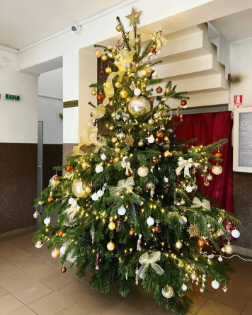 Concertul de colinde „Îngerul”, la Vișeu de Jos