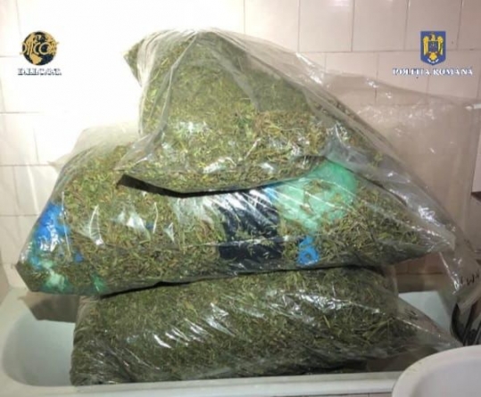 Zece percheziții și trei bărbați arestați preventiv pentru trafic de droguri