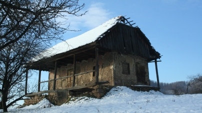 De unde vine denumirea de „Podul viilor”. Puțini știu despre viile care se cultivau în Baia Mare