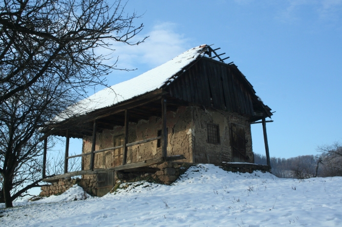 De unde vine denumirea de „Podul viilor”. Puțini știu despre viile care se cultivau în Baia Mare