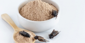 Interzicerea făinii de insecte în produsele tradiționale