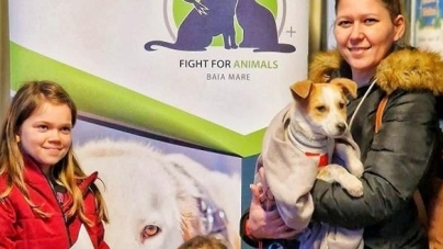 Un cățeluș norocos și-a găsit o familie pe viață de Crăciun cu ajutorul Asociației Fight For Animals din Baia Mare
