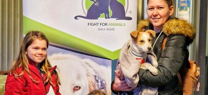 Un cățeluș norocos și-a găsit o familie pe viață de Crăciun cu ajutorul Asociației Fight For Animals din Baia Mare