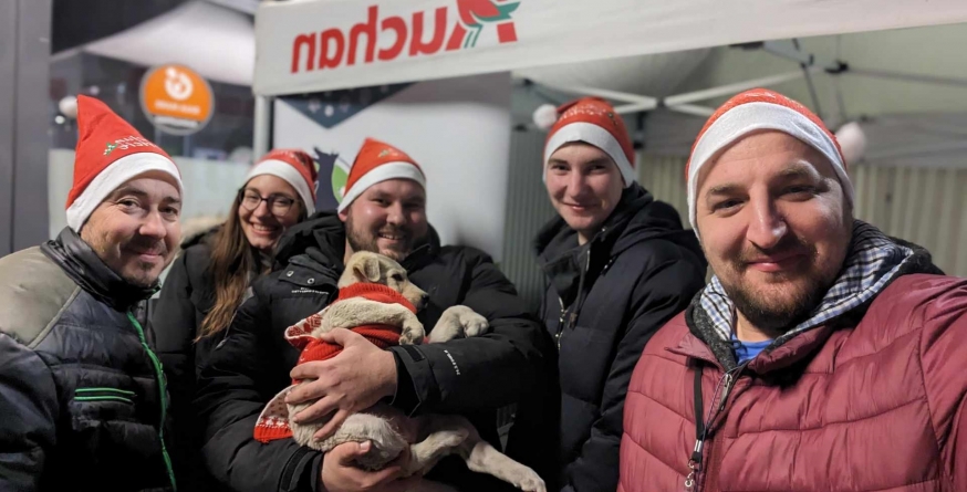 Asociația Fight For Animals din Baia Mare: O adopție, dar și o cantitate semnificativă de hrană colectată, în cadrul acțiunii de marți, 5 decembrie