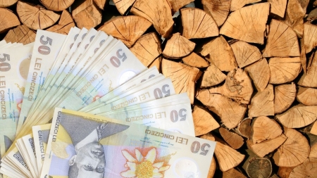 AJPIS Maramureș: Ajutoarele și suplimentele pentru încălzirea cu lemne ajung mâine în conturile primăriilor din județ