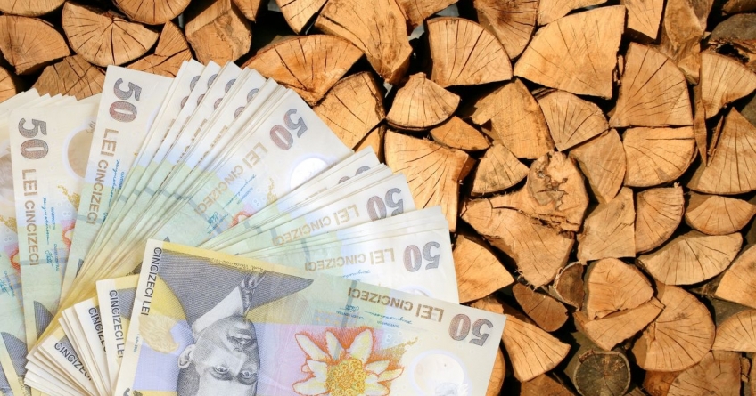 AJPIS Maramureș: Ajutoarele și suplimentele pentru încălzirea cu lemne ajung mâine în conturile primăriilor din județ