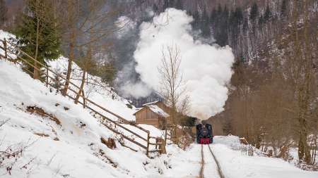 Mocănița, program special de sărbători