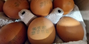 Alimente expirate și mizerie, la un magazin din Baia Mare. Inspectorii de la Protecția Consumatorului l-au închis temporar