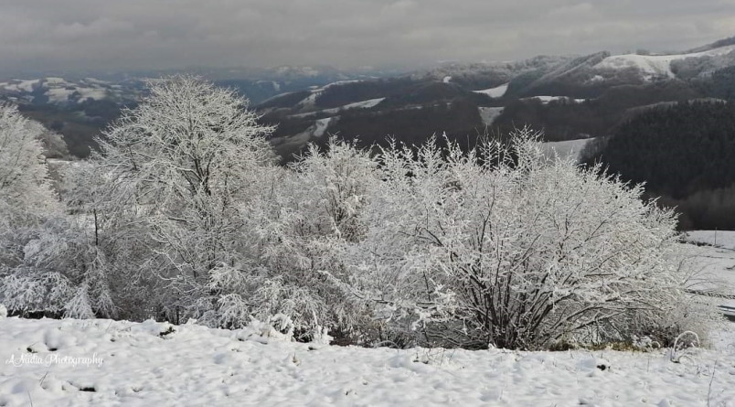 Vremea exactă în Maramureș, duminică, 3 decembrie