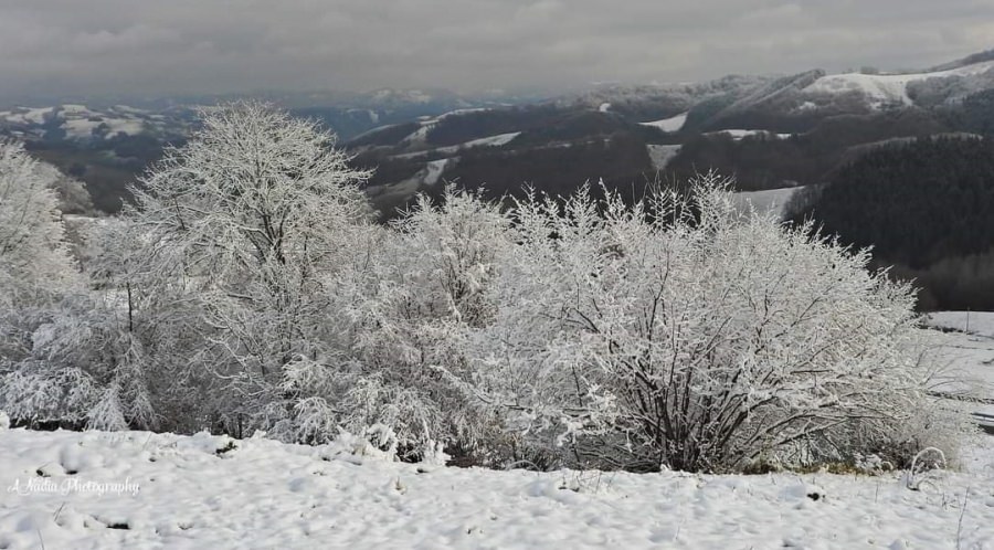 Meteo. Ninsori slabe și temperaturi ușor mai ridicate în Maramureș