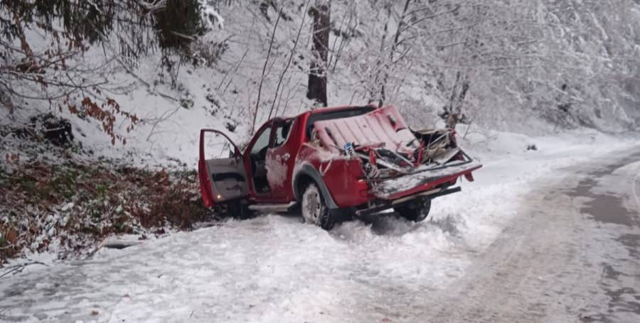 Pe DJ183, spre Izvoare: Un copac s-a prăbușit peste un autoturism