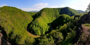 Cheile Lăpușului, sit de importanță comunitară, desemnat de Ministerul Mediului ca arie specială de conservare