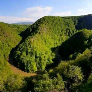 Cheile Lăpușului, sit de importanță comunitară, desemnat de Ministerul Mediului ca arie specială de conservare