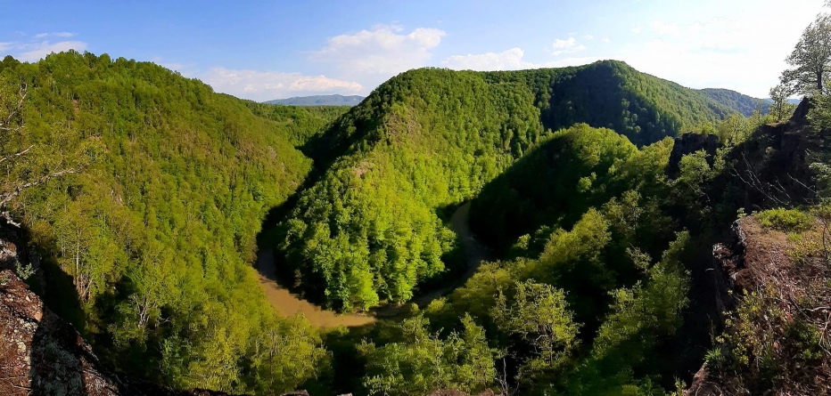 Cheile Lăpușului, sit de importanță comunitară, desemnat de Ministerul Mediului ca arie specială de conservare