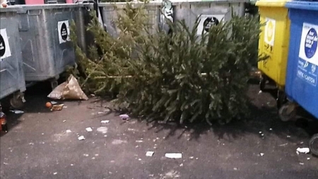 Ce facem cu bradul după sărbători?