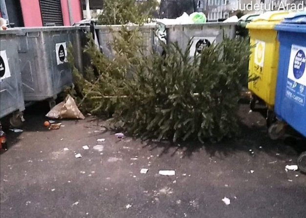 Ce facem cu bradul după sărbători?