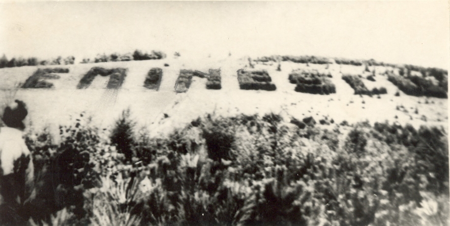 13 ianuarie: Se organizează drumeția culturală dedicată poetului național, Mihai Eminescu, la ”pinii personalizați” în anul 1939, pe Dealul Comja din Seini