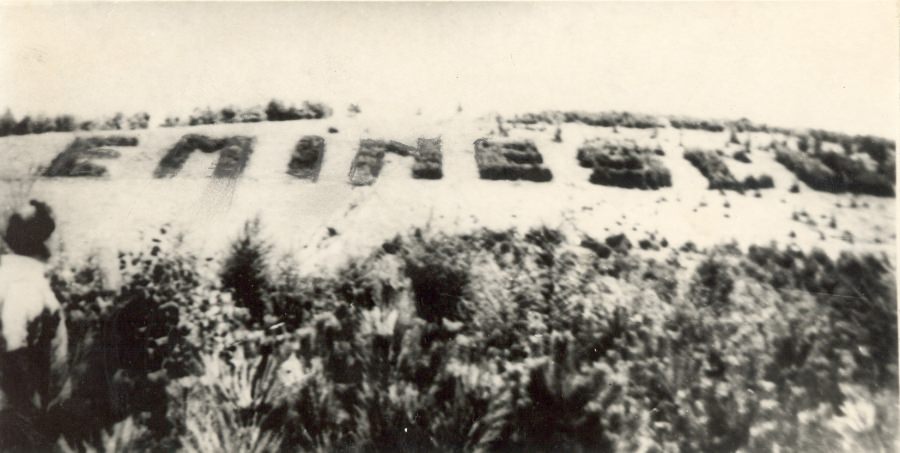 13 ianuarie: Se organizează drumeția culturală dedicată poetului național, Mihai Eminescu, la ”pinii personalizați” în anul 1939, pe Dealul Comja din Seini