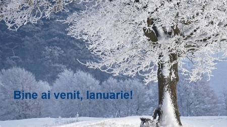 Sărbătorile și sărbătoriții lunii ianuarie