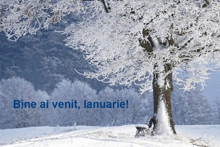 Sărbătorile și sărbătoriții lunii ianuarie