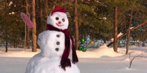 Omul de zăpadă, vedeta zilei de 18 ianuarie