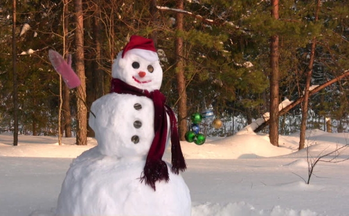 Omul de zăpadă, vedeta zilei de 18 ianuarie