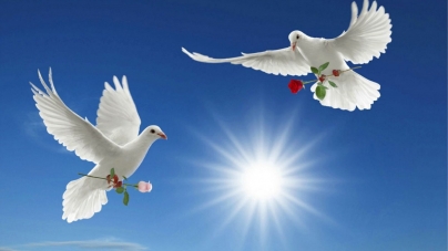 1 ianuarie, Ziua Mondială pentru Pace