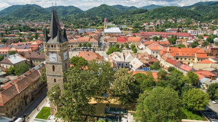 Acțiune de dezinsecție în Baia Mare